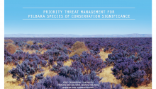 Prioritising the management of threat affecting the Pilbara species: conversation article and report available